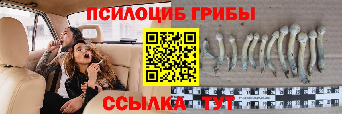 Псилоцибиновые грибы ЛСД  Вход с VPN  Псилоцибиновые грибы GOLDEN TEACHER  Черняховск 